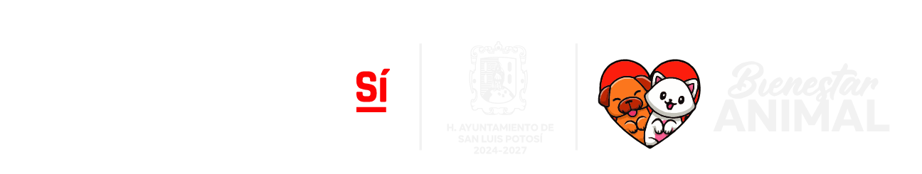 Imagen con logos oficiales de H. Ayuntamiento