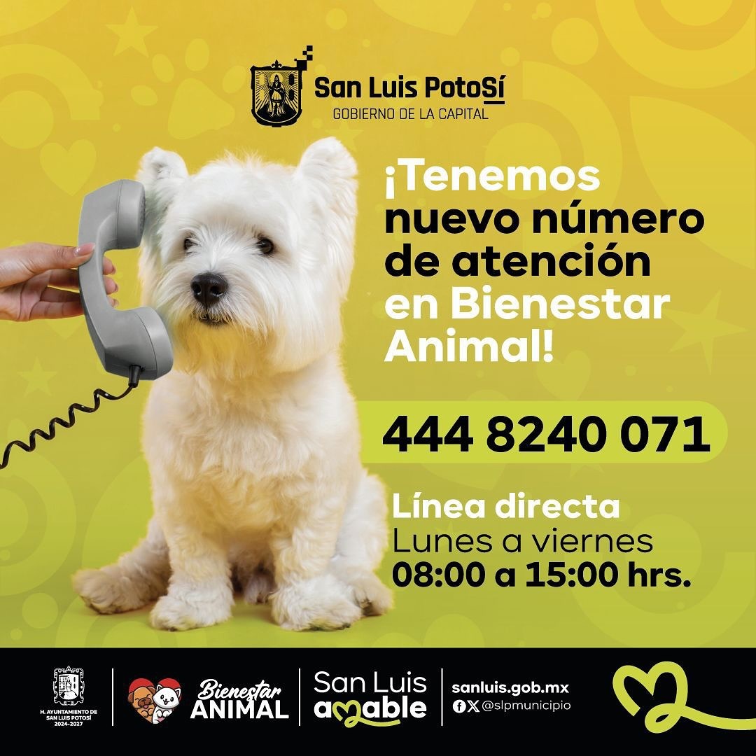 Imgen de anuncio