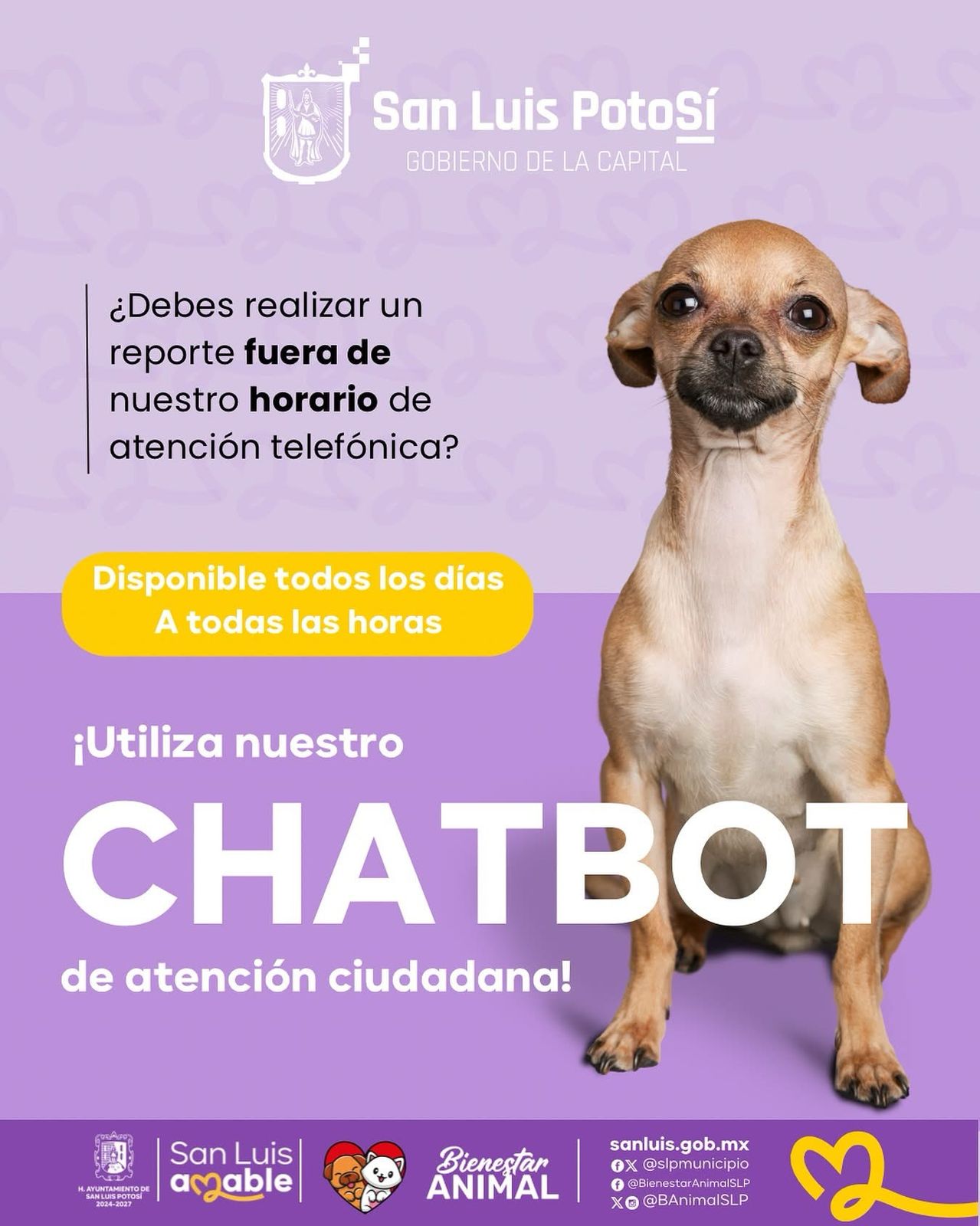 Imgen de anuncio