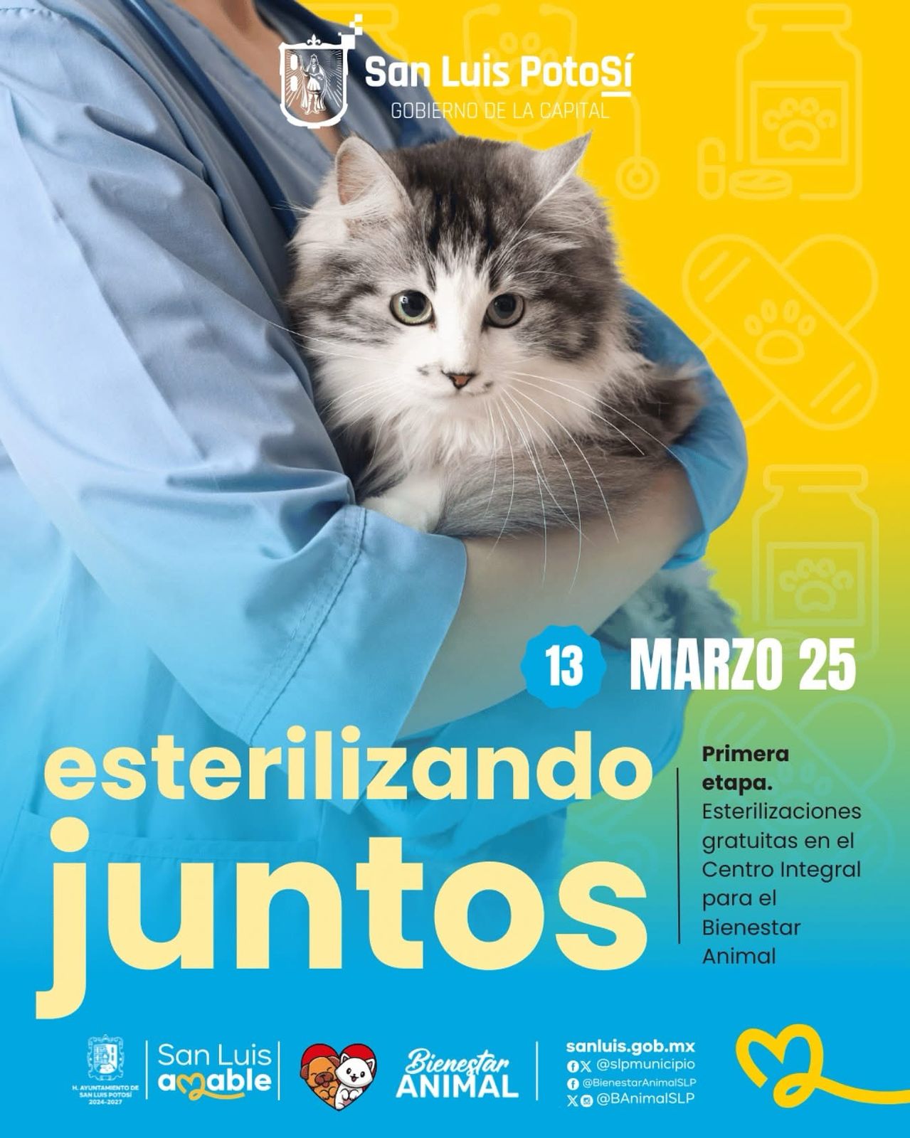 Imgen de anuncio