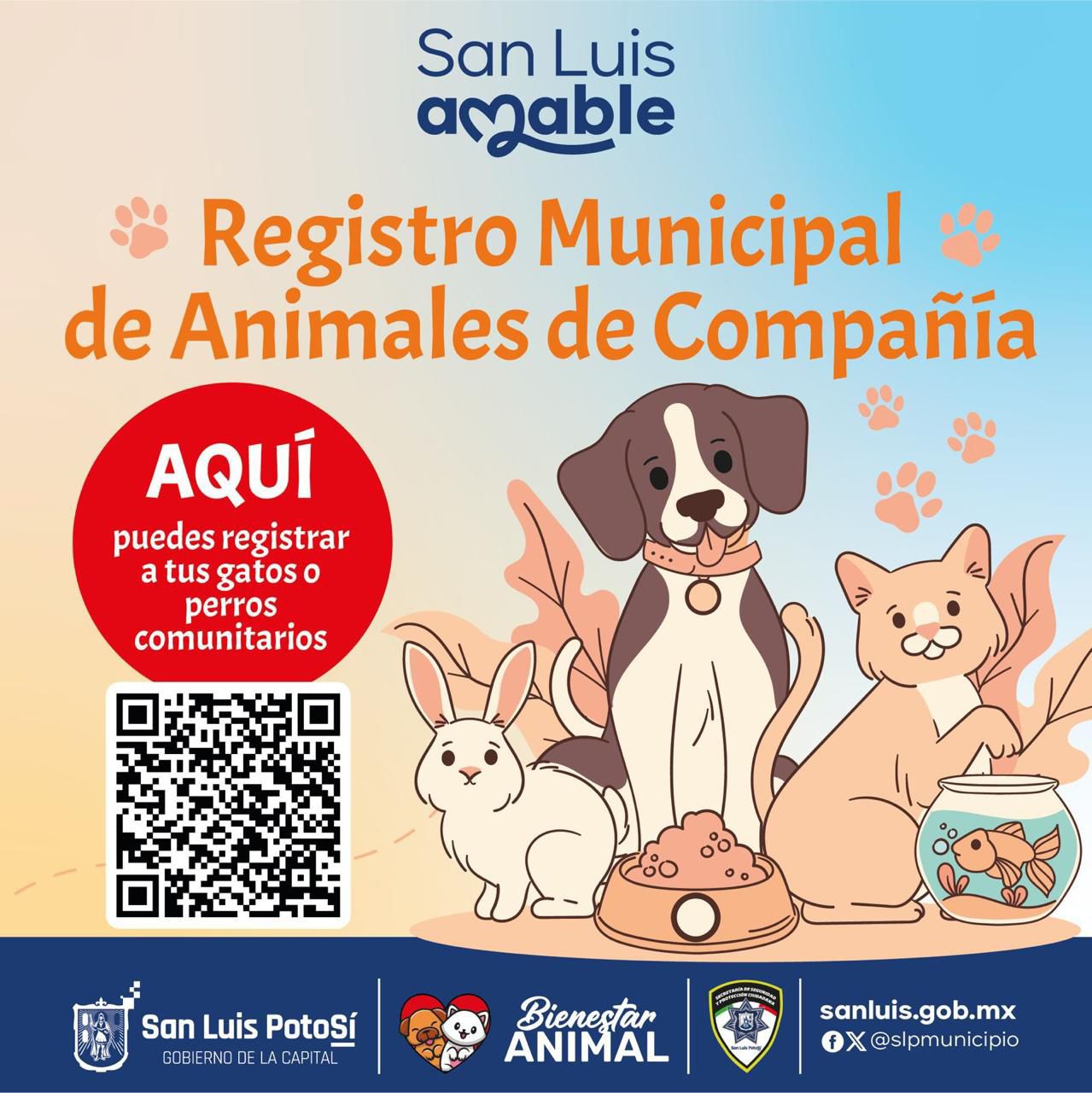 Imgen de anuncio