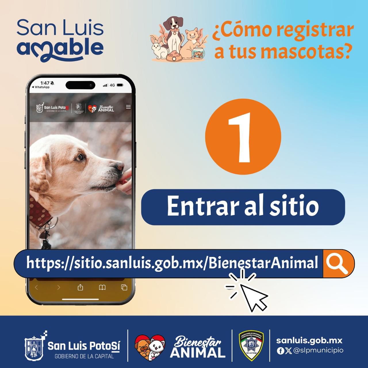 Imgen de anuncio