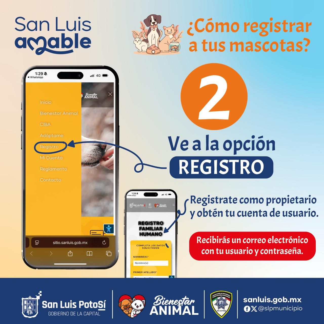 Imgen de anuncio
