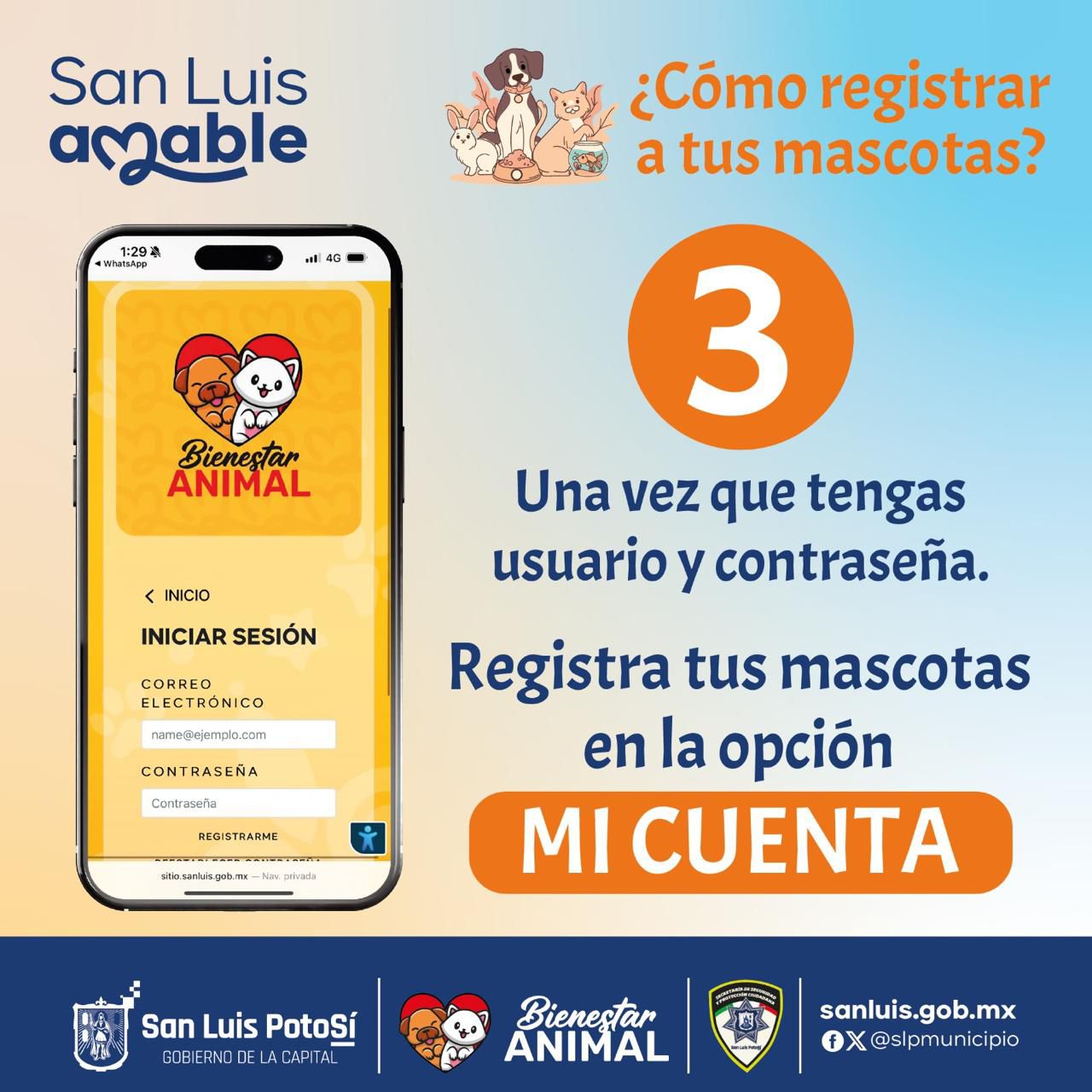 Imgen de anuncio