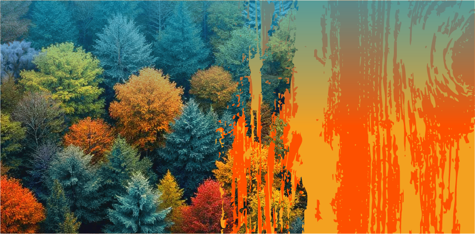Imagen de fondo con arboles y relieves, en tonos verde, azul, amarillo y naranja 