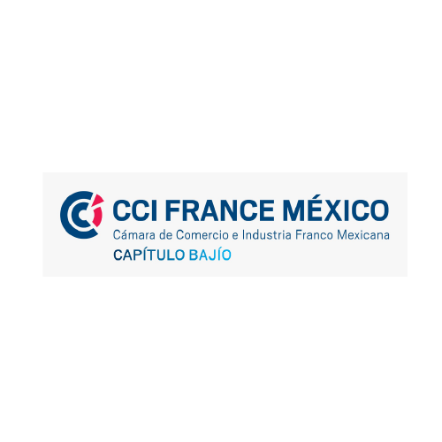 Logo de CCI FRANCE MÉXICO