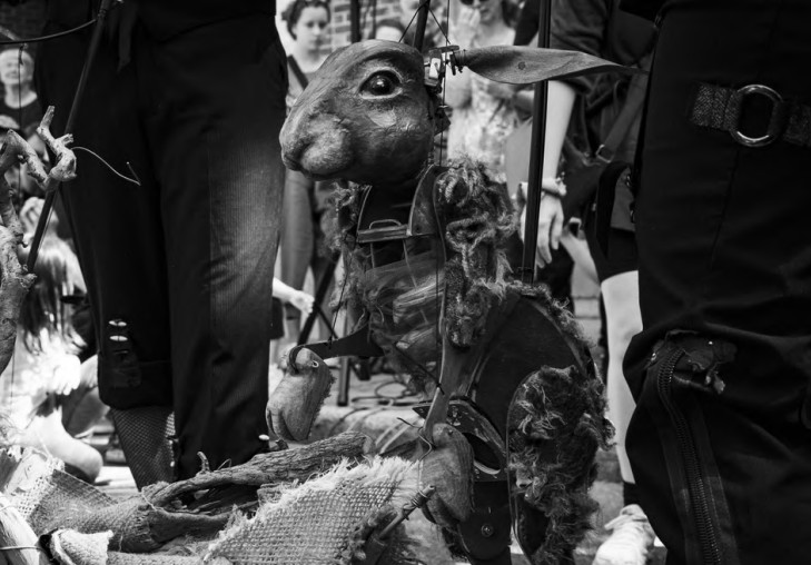 Imagen de referencia del evento de  Animalarium