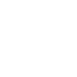 Icono de flecha hacia la derecha