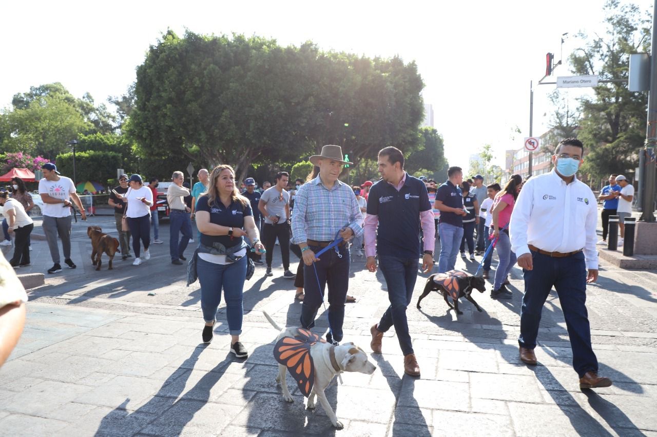  Arranca Ayuntamiento de la Capital, programas dirigidos a la adopción responsable de mascotas