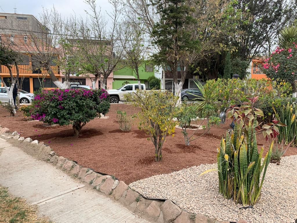 Gobierno de la Capital continuará con la creación de xerojardines en la mancha urbana, para aprovechar el clima potosino