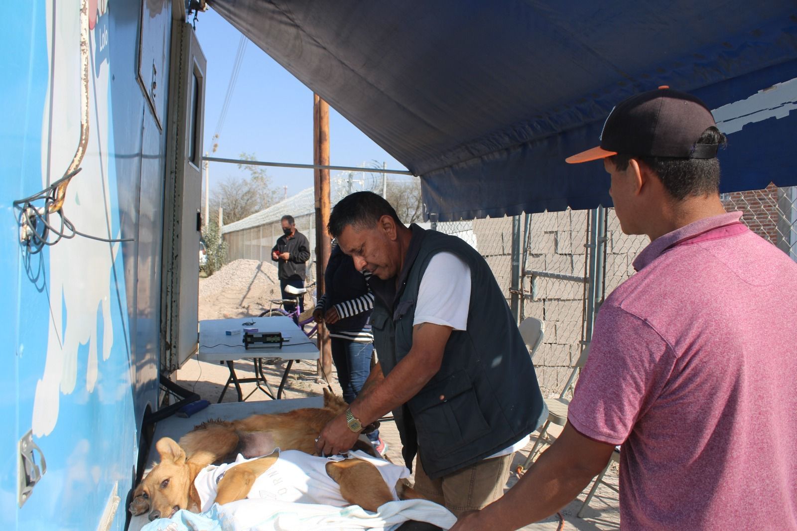  Ayuntamiento realiza esterilizaciones a perros en situación de calle en la comunidad de Jassos