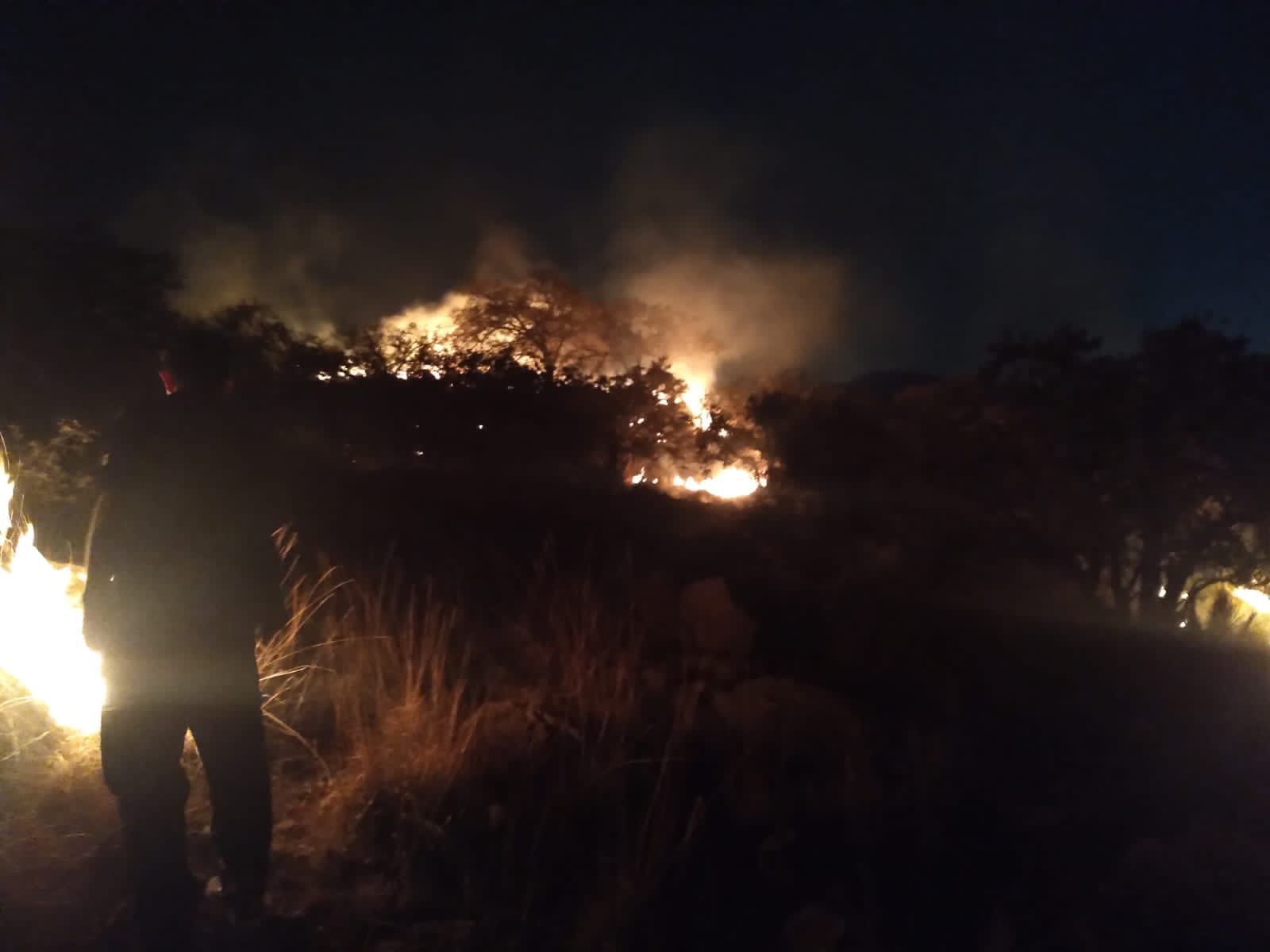  En coordinación con otras instancias, Protección Civil Municipal termina con incendio forestal en el Cerro el Pelón