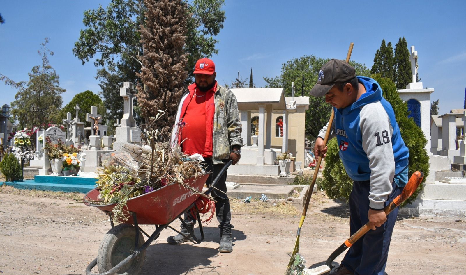 Servicios Municipales intensifica trabajos de limpieza y mantenimiento en el panteón El Saucito