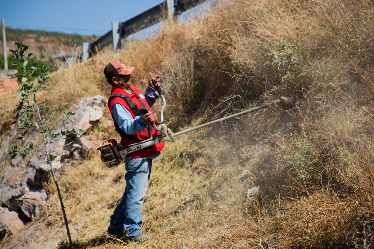 Fotografía de un trabajador municipal realizando labores de deshierbe