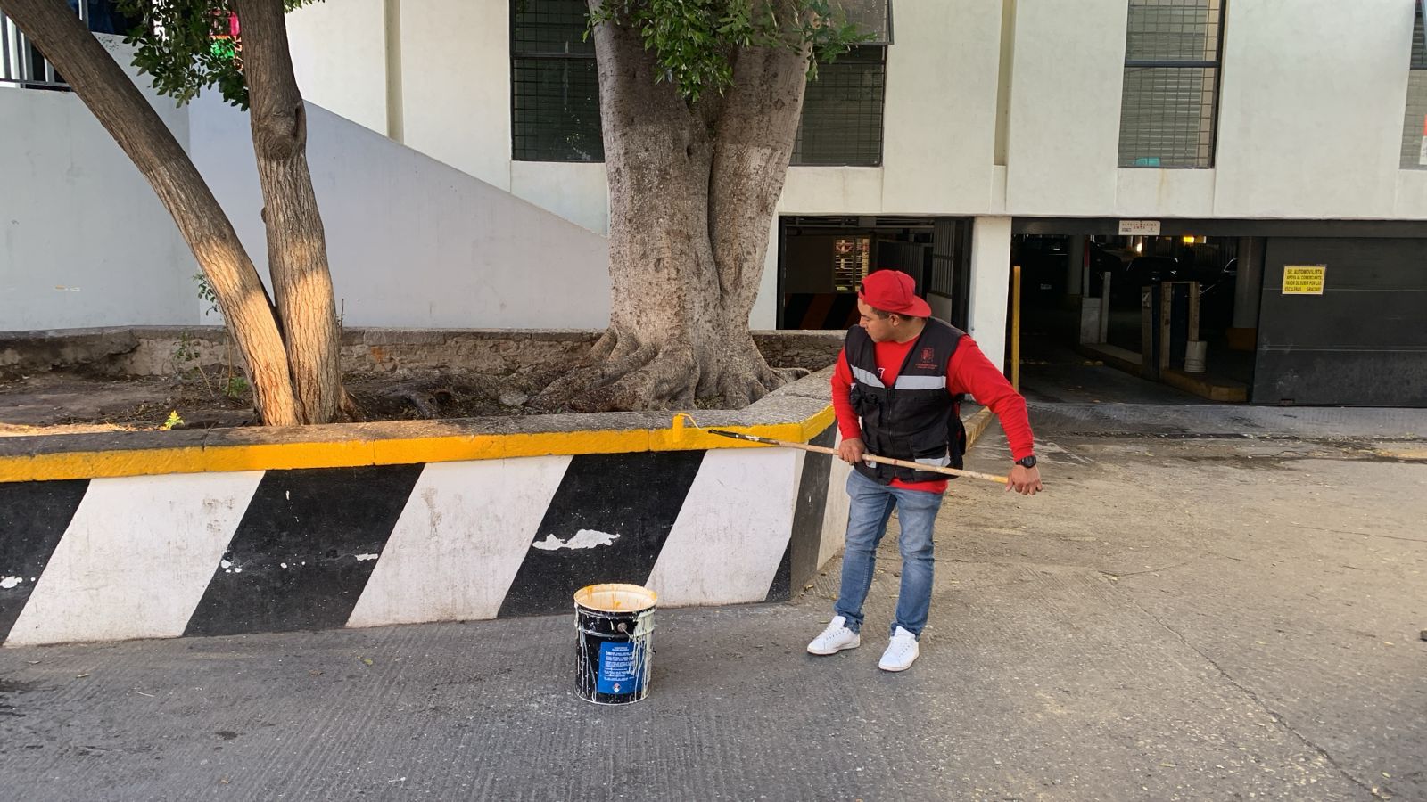 Fotografía de un trabajador pintando una jardinera