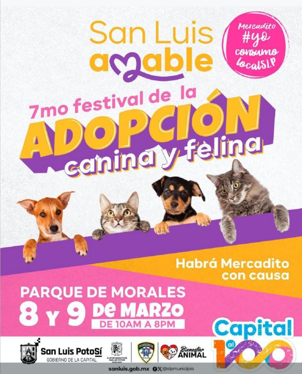 Diseño con la invitación al festival de adopción canina y felina