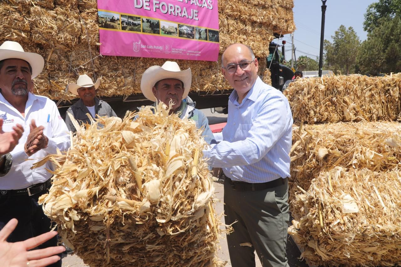 Fotografía del alcalde entregando una paca de forraje