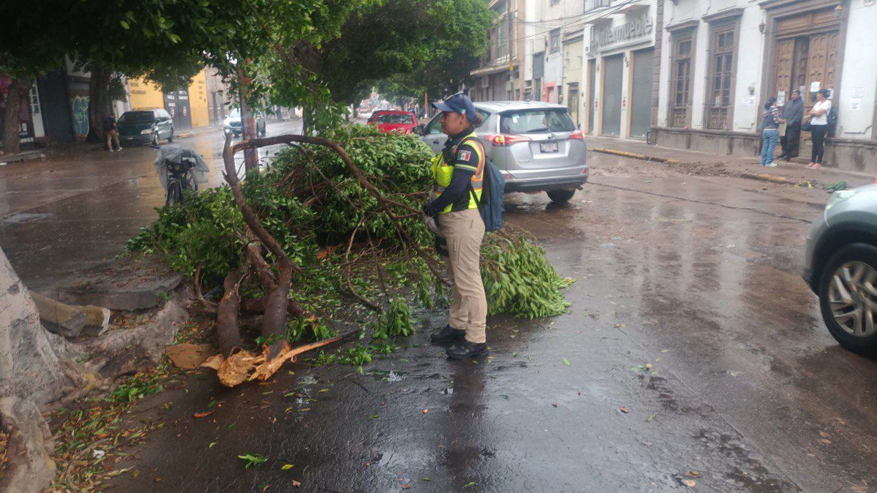 Refuerza Gobierno de la Capital estrategia permanente contra lluvias ante pronóstico de tormenta intensa