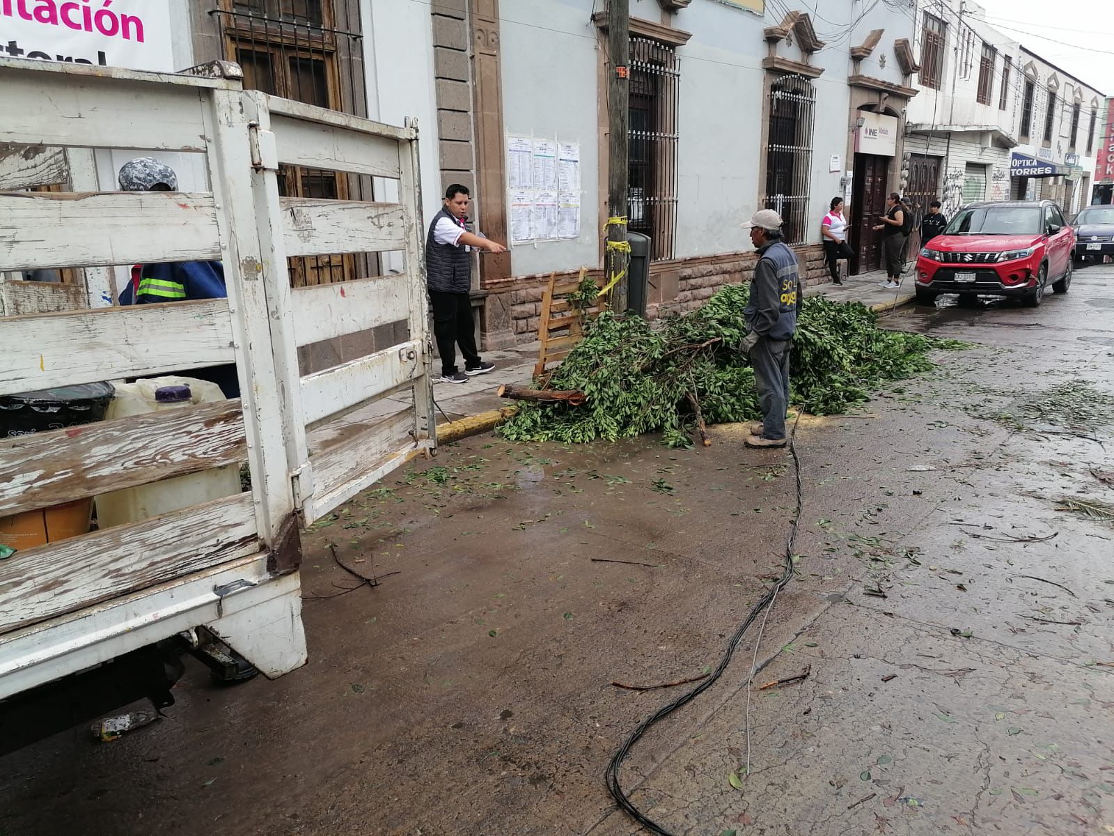 Fotografía de trabajadores recogiendo montones de ramas y hojas