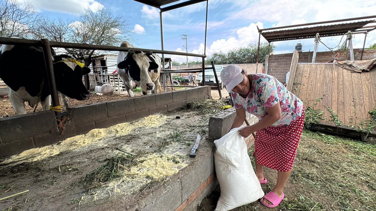 Fotografía de una señora dando de comer a su ganado