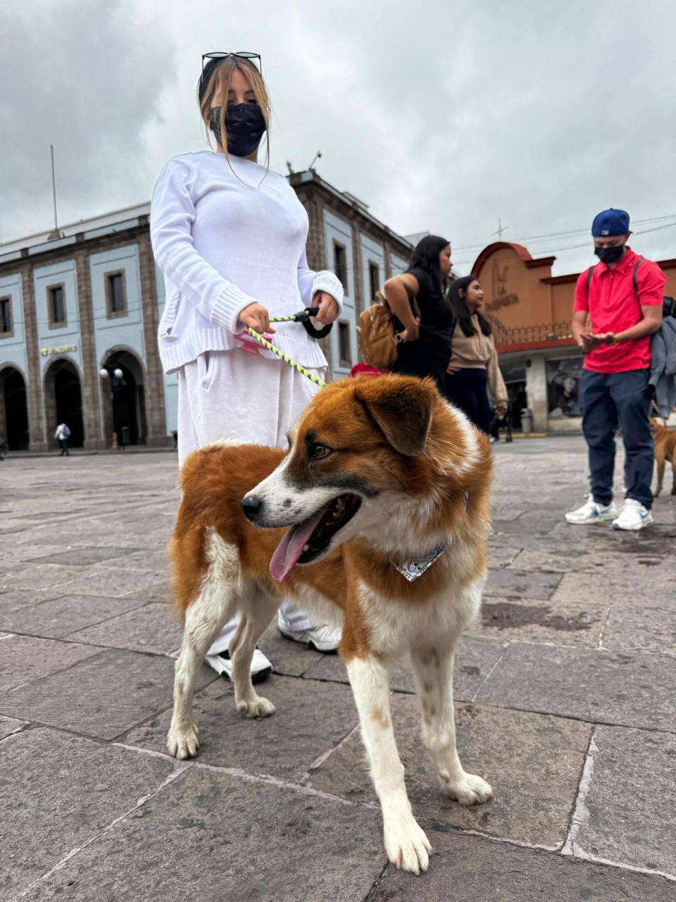 Becarios del programa de Estímulos a la Educación Superior se suman a la campaña #AdoptaNoCompres del Gobierno Municipal