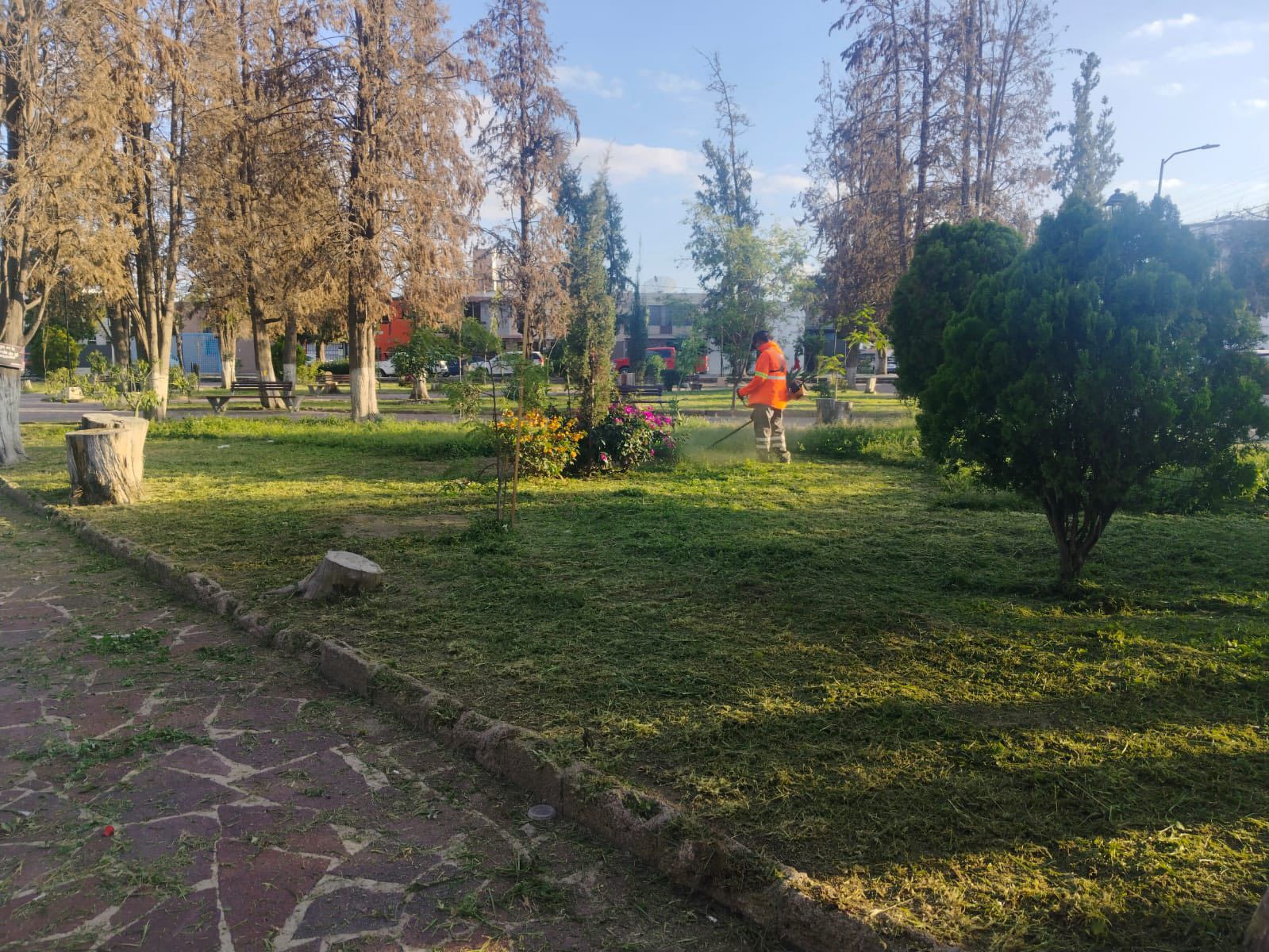 Gobierno de la Capital da mantenimiento integral al Jardín Juan Ruiz de Alarcón