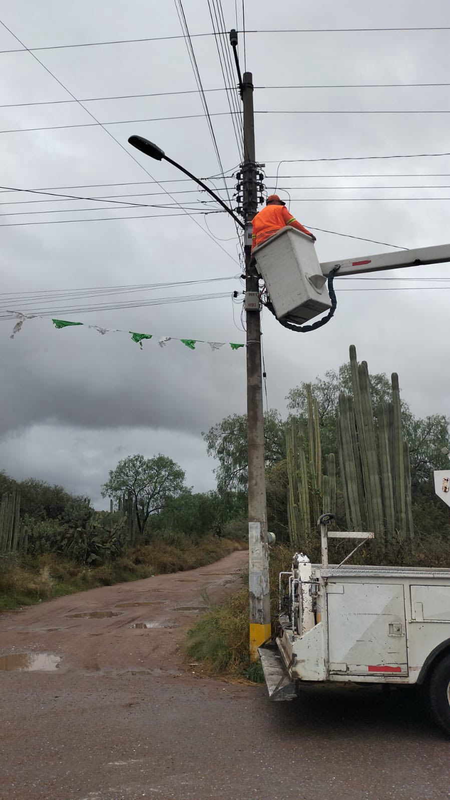 Gobierno de la Capital mejora alumbrado público en la comunidad de Cerritos, Delegación La Pila