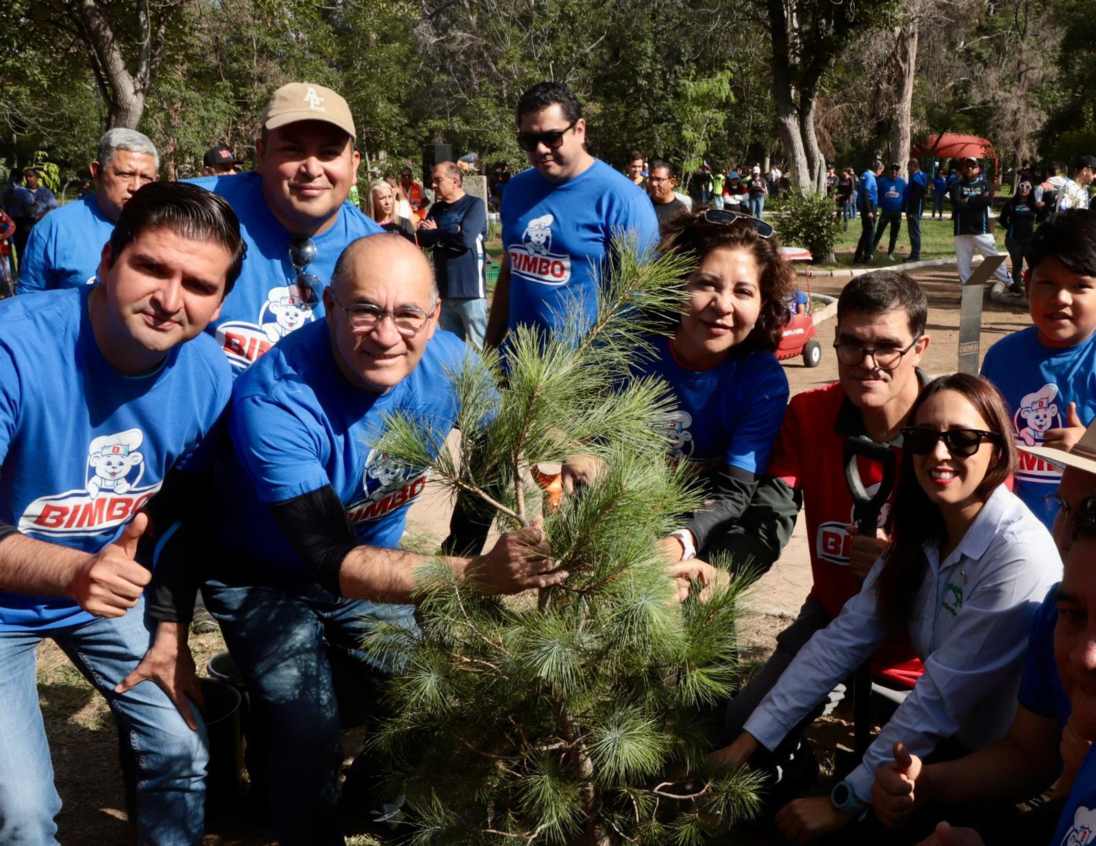 Unidos por un San Luis más arbolado: Ayuntamiento de SLP y Grupo Bimbo reforestan el parque Morales