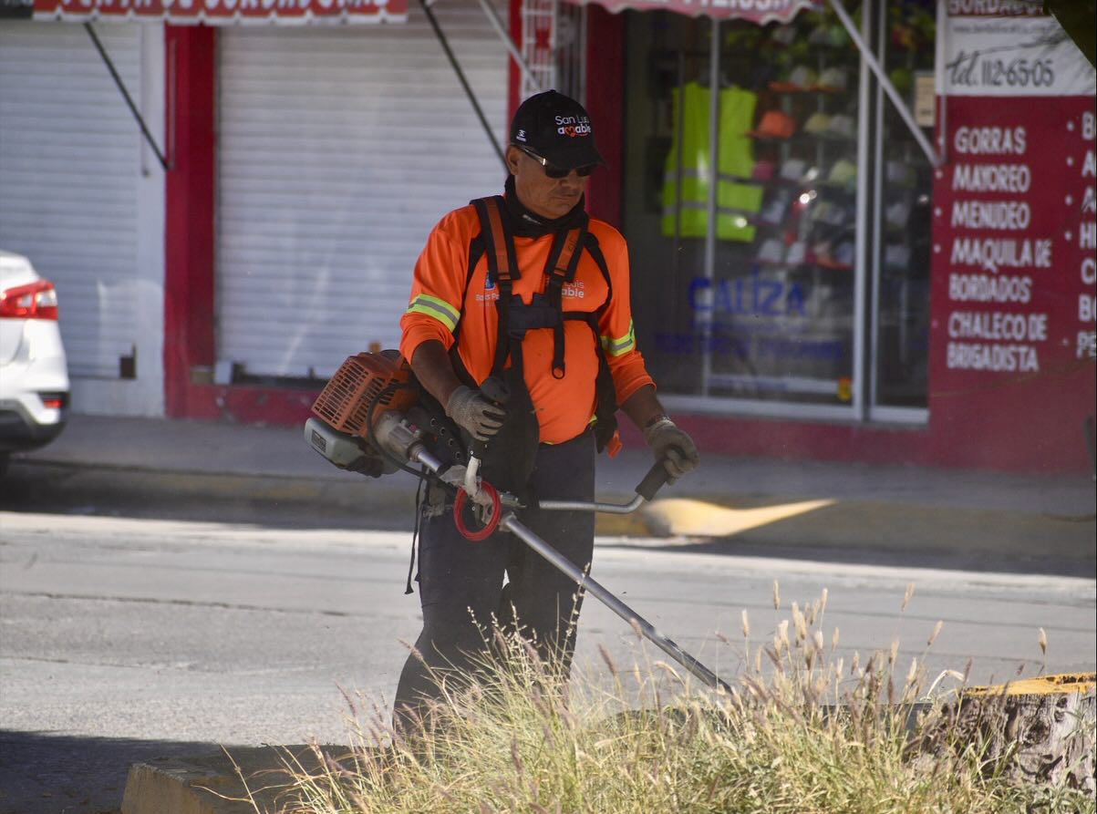 “Capital al 100” da atención a la avenida Xicoténcatl y a sus inmediaciones