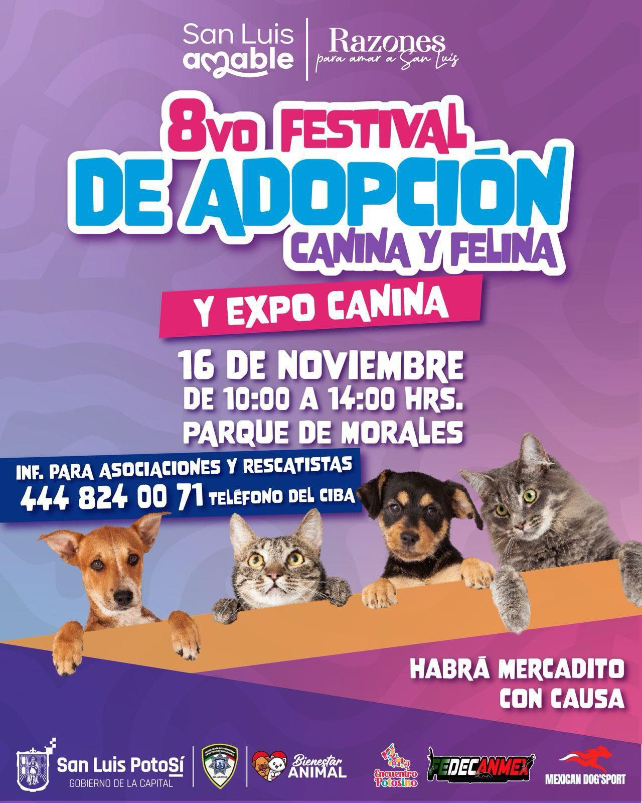 Reitera Regidora Maritza Jenith Vázquez invitación para el 8º Festival de Adopción Canina y Felina