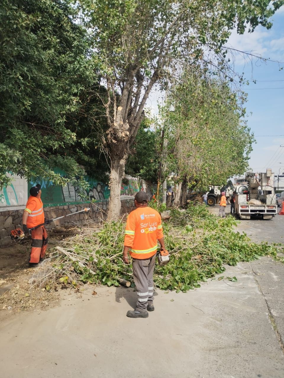 Gobierno de la Capital rehabilita banqueta dañada por raíces en Coronel Romero, tras reporte ciudadano