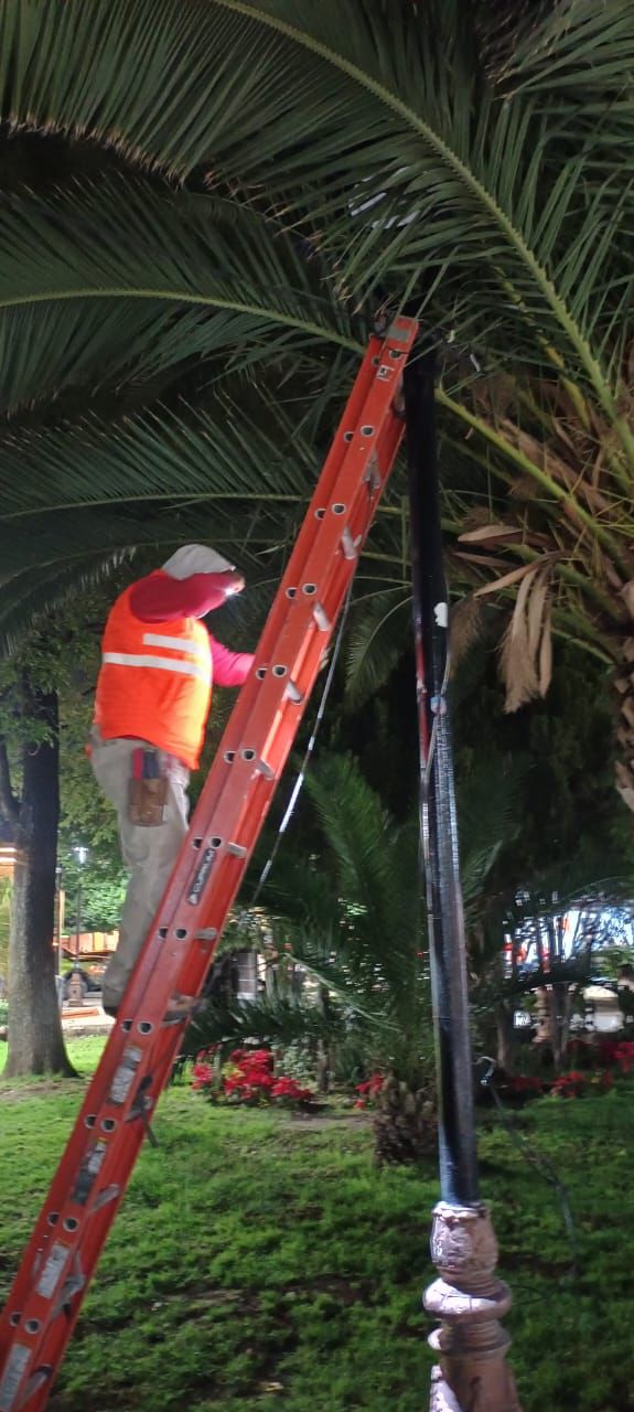 Vandalismo afectó severamente iluminación del jardín de Tequis, ya fue reparada