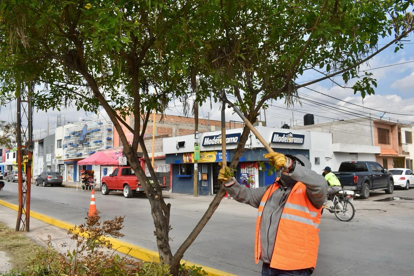 Gobierno de la Capital refuerza mantenimiento integral en la avenida B. Anaya