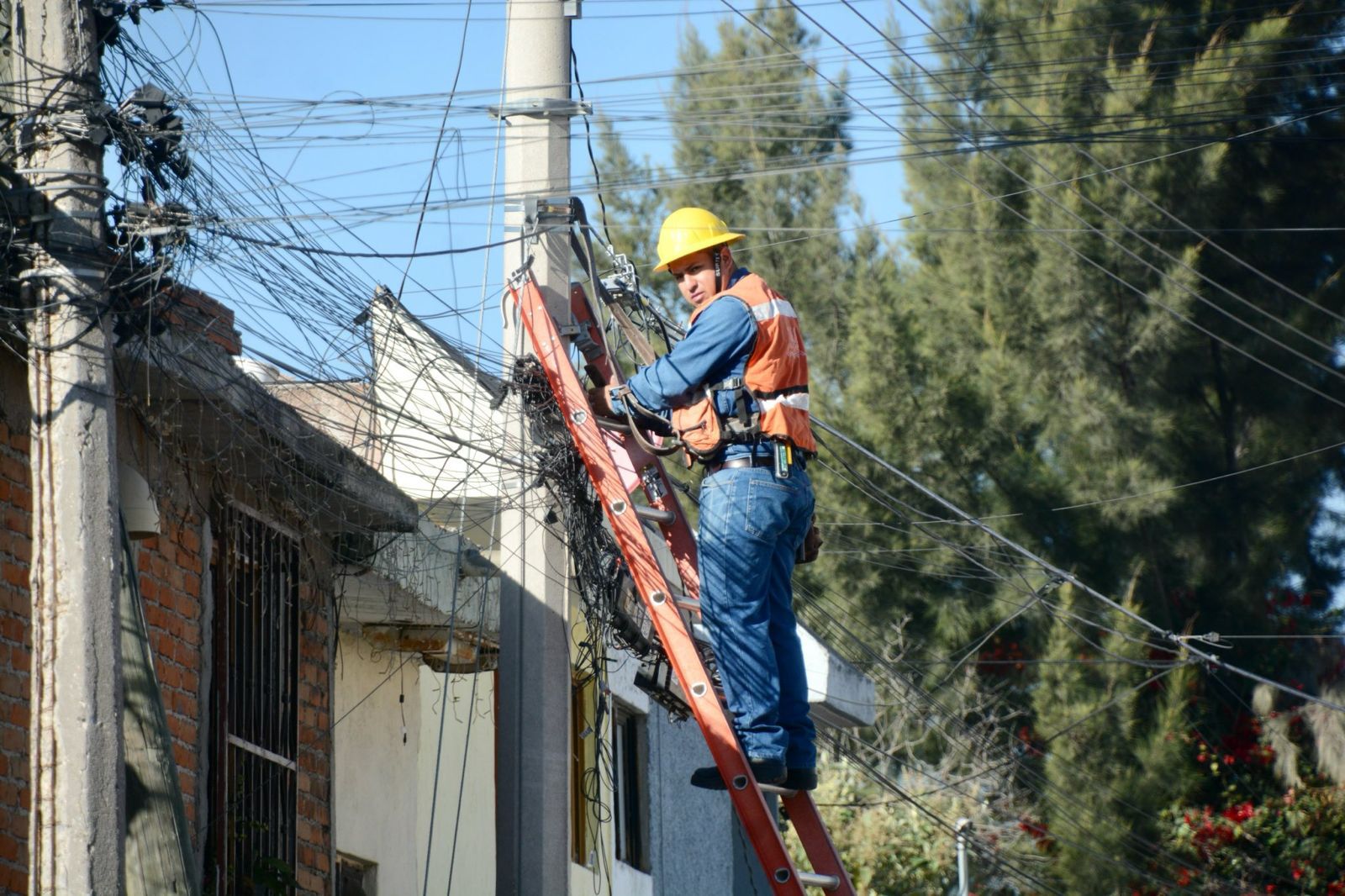 En 2025, Domingo de Pilas se consolidó como uno de los programas más exitosos de la administración de Enrique Galindo