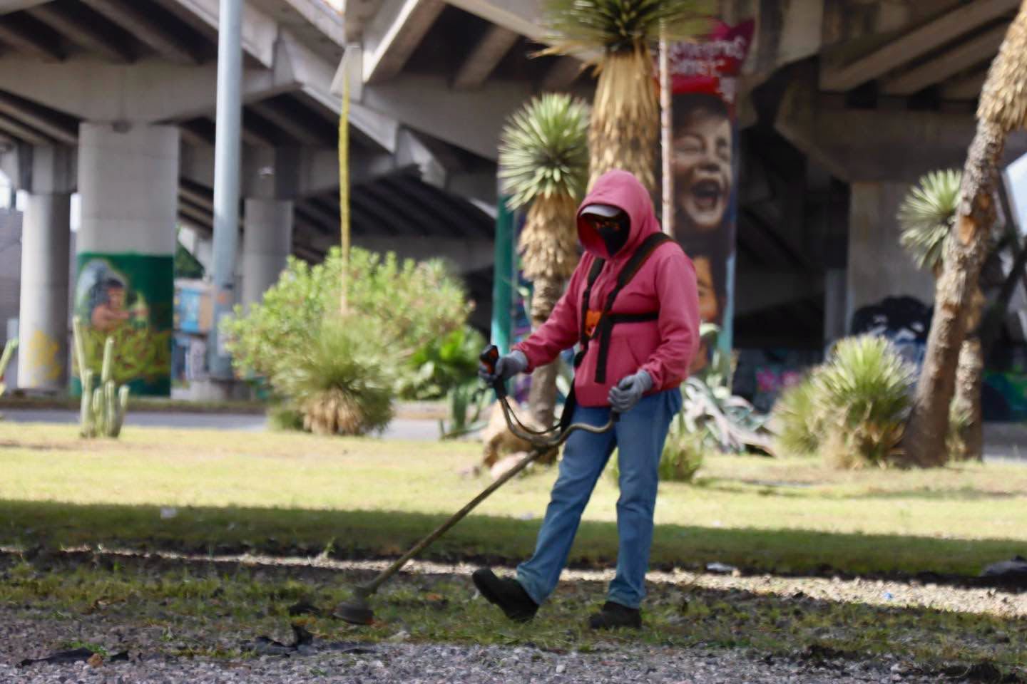 Gobierno de la Capital realiza limpieza integral en la Glorieta Juárez