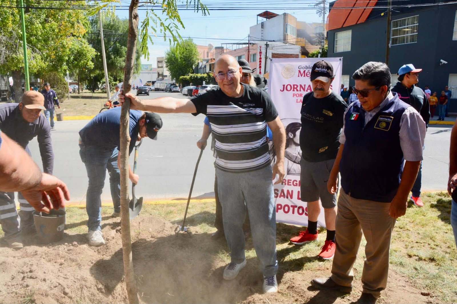 San Luis Capital participa en jornada nacional de reforestación del Gobierno de México